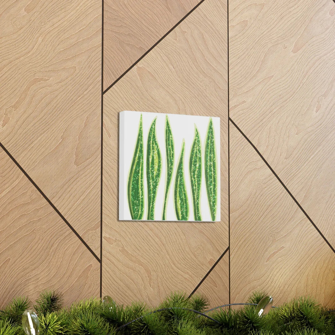 Snake Plant Canvas | Botanical Canvas Decor - Matte Finish Artwork for Living Room - Laura Christine Photography & Design