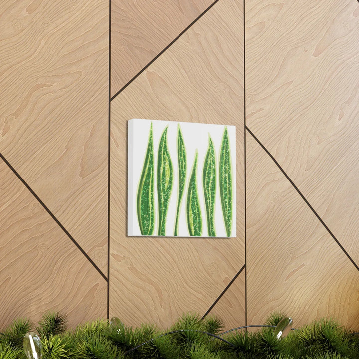 Snake Plant Canvas | Botanical Canvas Decor - Matte Finish Artwork for Living Room - Laura Christine Photography & Design