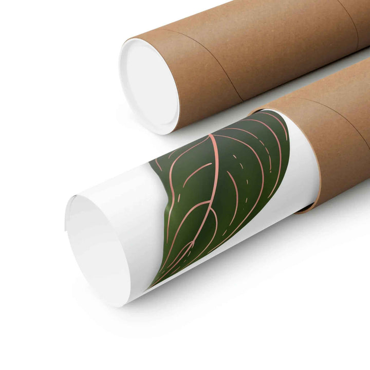 POS Aglaonema Rotundum Print