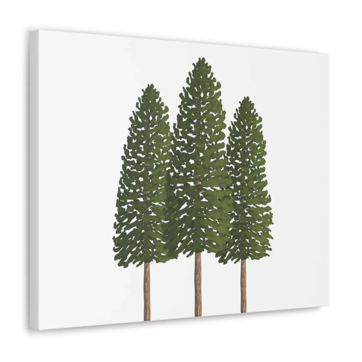 Ponderosa Pine Canvas - Large Stretched Cotton Canvas Art Print With Matte Finish