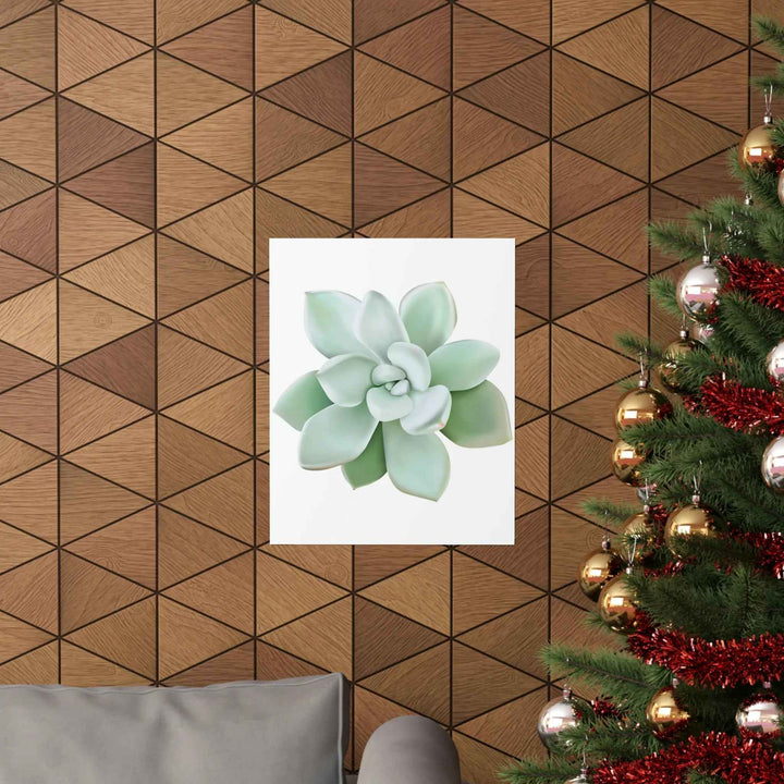 POS Pachyveria Print