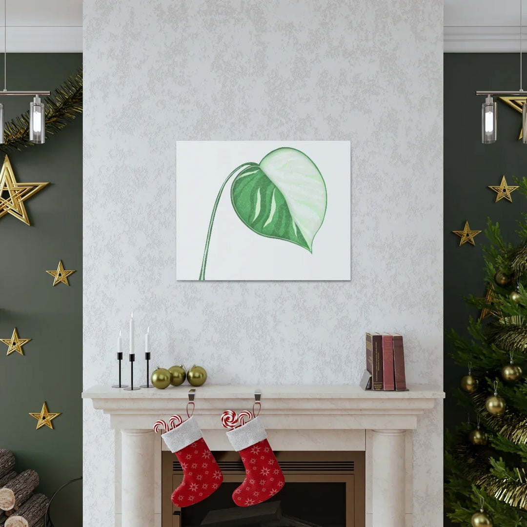 Monstera Albo Canvas | Large Tropical Leaf Artwork - Matte Finish Canvas Art Print - Laura Christine Photography & Design