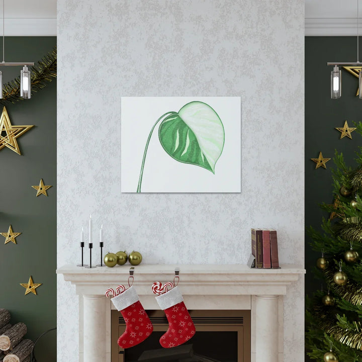 Monstera Albo Canvas | Large Tropical Leaf Artwork - Matte Finish Canvas Art Print - Laura Christine Photography & Design