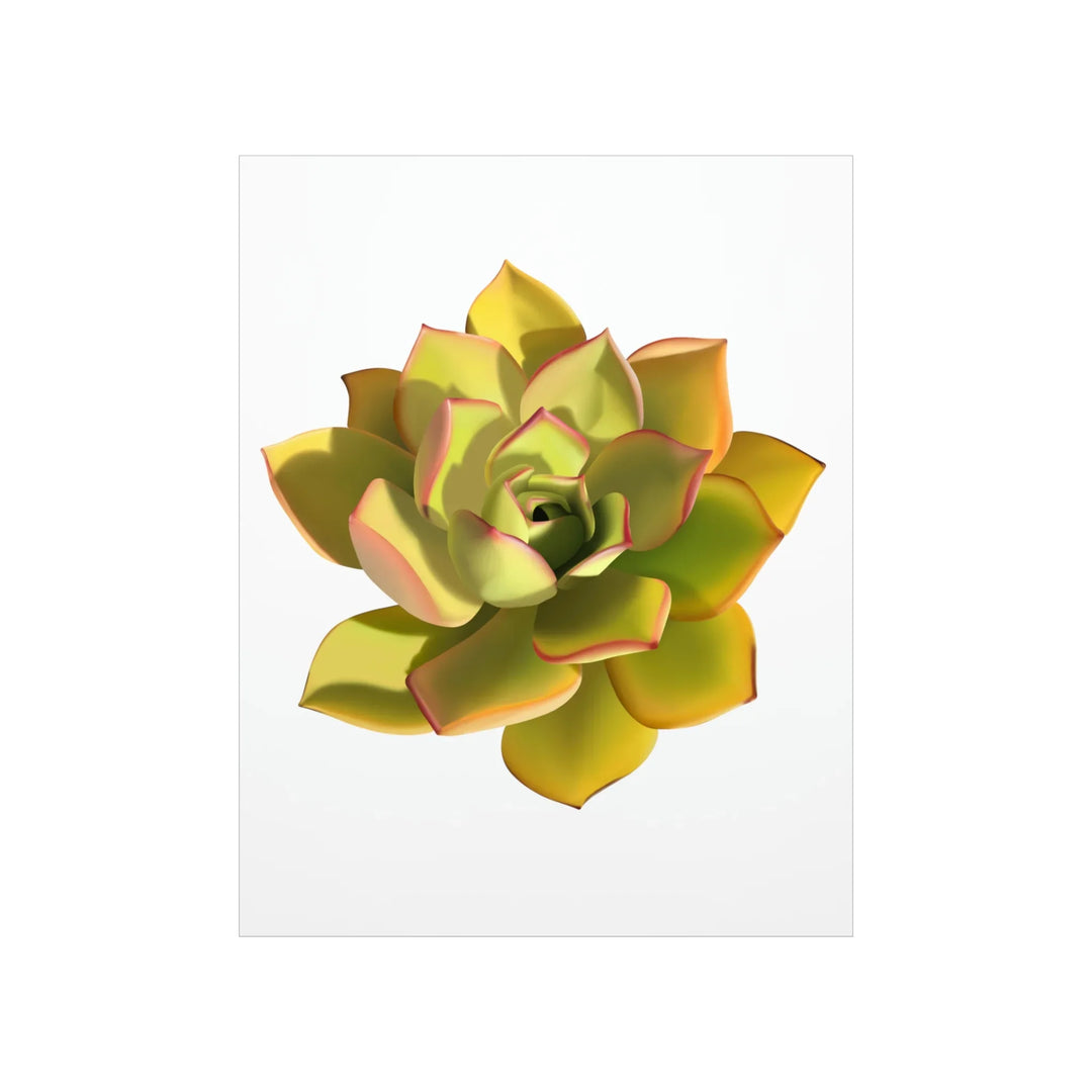 Noble Aeonium Print – Vibrant Succulent Wall Art on Museum-Grade Paper Poster Unframed