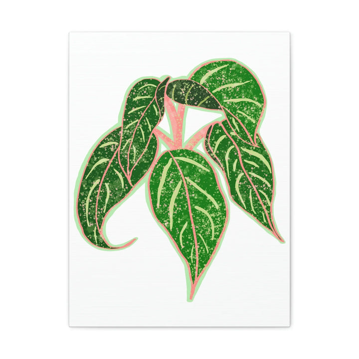 Aglaonema Plant Canvas | Sparkling Plant Artwork - Colorfast Canvas Art Print Decor