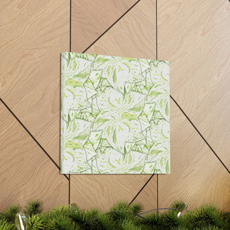 Snow Queen Pothos Canvas