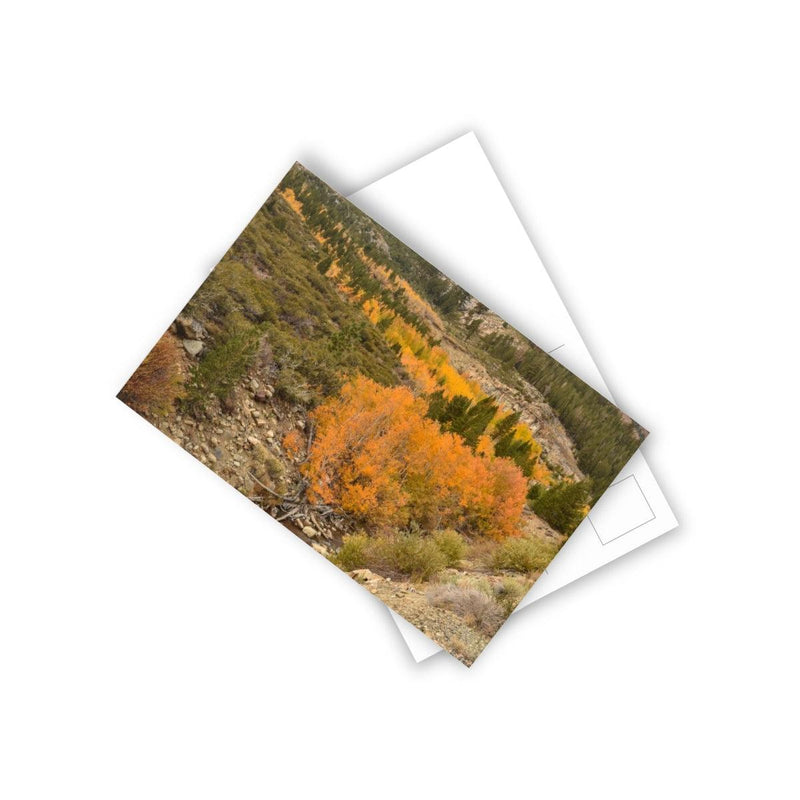 Autumn Leaves outside Yosemite - Postcard, 10-pack, Paper products, Printify, Back to School, Home & Living, Indoor, Matte, Paper, Posters, Laura Christine Photography & Design, laurachristinedesign.com