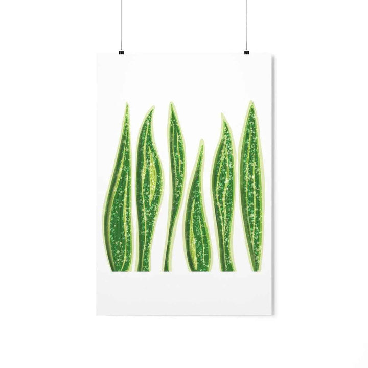 Snake Plant Print – Large Botanical Wall Art Poster | Matte Finish | Unframed