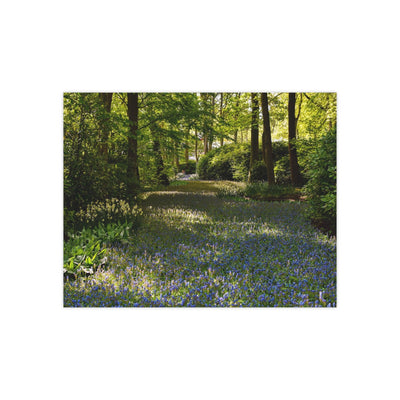 Forest flower path - Photo Poster, Poster, Printify, Art & Wall Decor, Home & Living, Paper, Poster, Posters, Laura Christine Photography & Design, laurachristinedesign.com