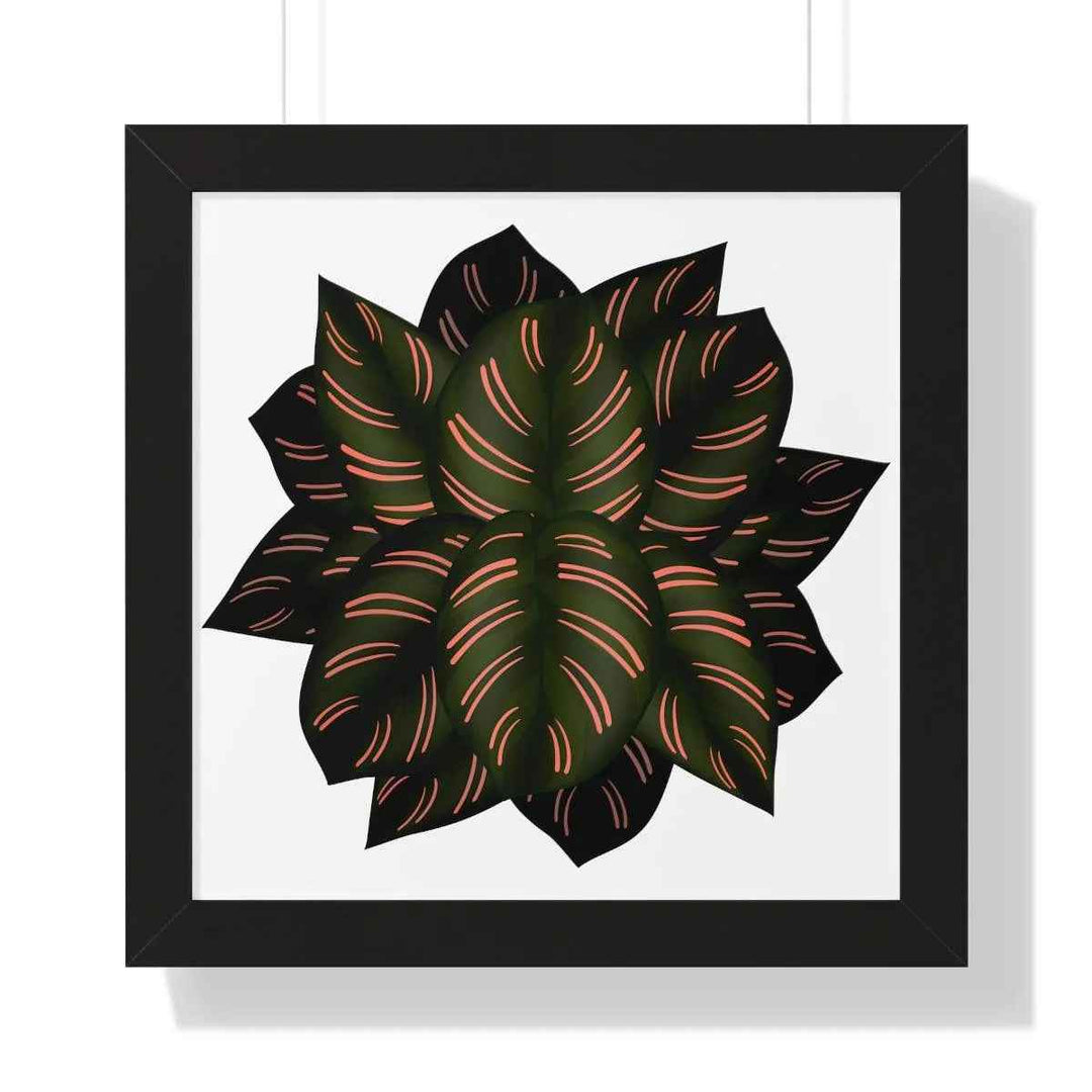 Calathea Pinstripe Print - Framed Botanical Art With Matte Finish & Acrylic Cover