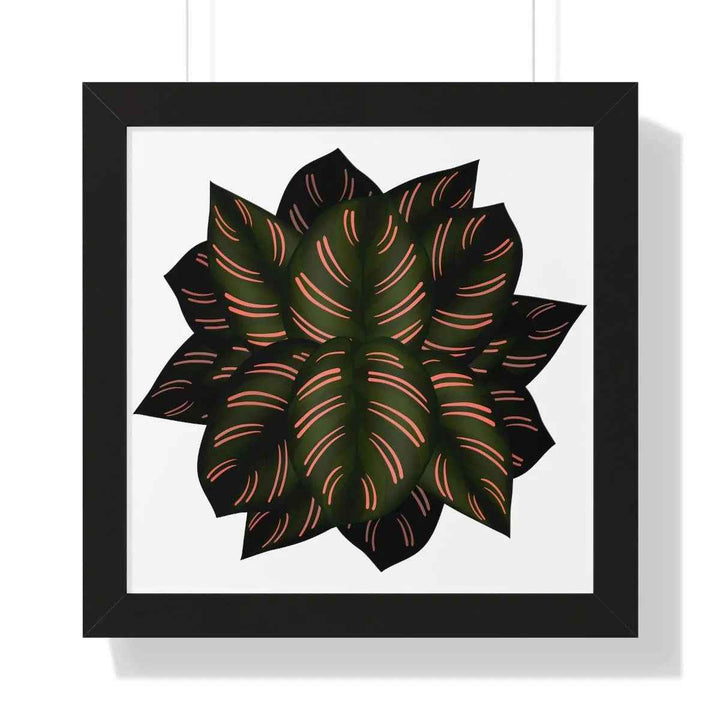 Calathea Pinstripe Print - Framed Botanical Art With Matte Finish & Acrylic Cover