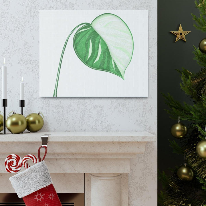 Monstera Albo Canvas | Large Tropical Leaf Artwork - Matte Finish Canvas Art Print - Laura Christine Photography & Design