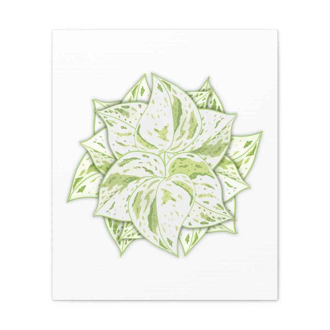 Snow Queen Pothos Canvas – Variegated Leaf Canvas Art Print | Durable Cotton
