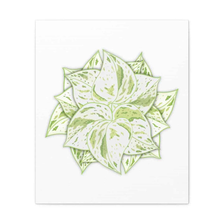 Snow Queen Pothos Canvas – Variegated Leaf Canvas Art Print | Durable Cotton