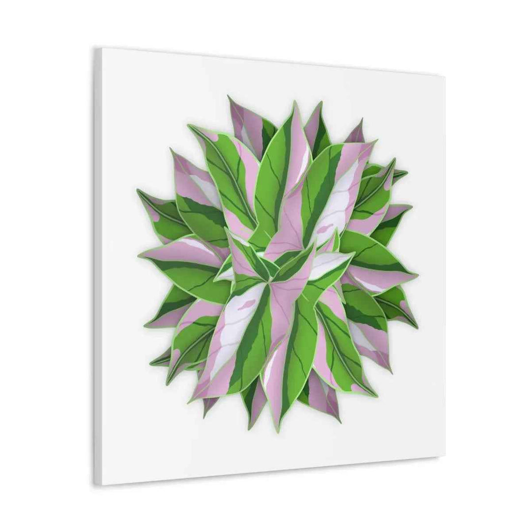 Tricolor Syngonium Canvas - Durable Canvas Art Print With Matte Finish & Botanical Design