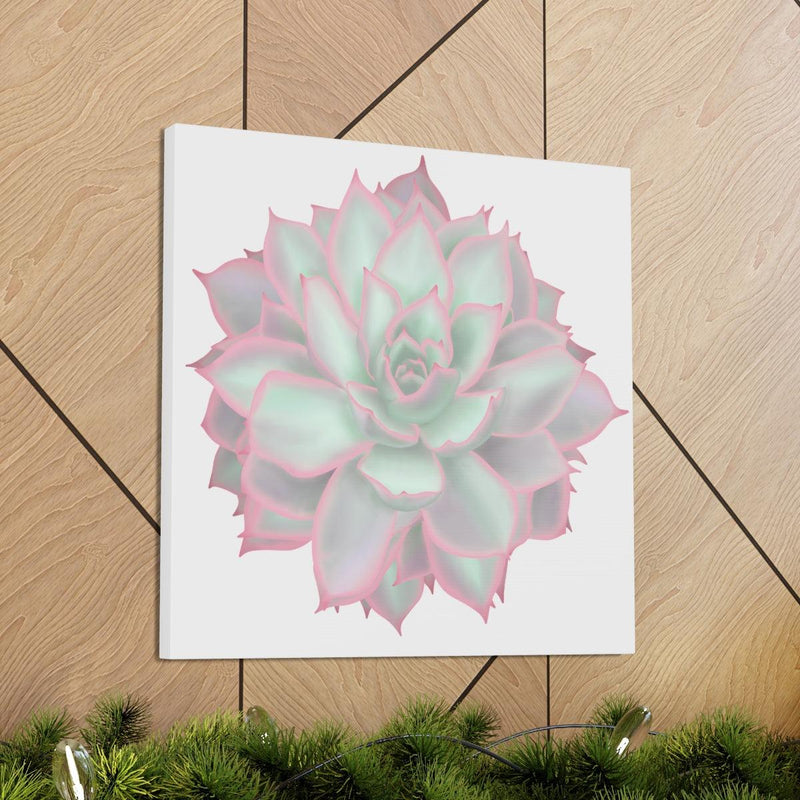 Echeveria Violet Queen Succulent Canvas, Canvas, Laura Christine Photography & Design, Art & Wall Decor, Canvas, Hanging Hardware, Home & Living, Indoor, Laura Christine Photography & Design, laurachristinedesign.com