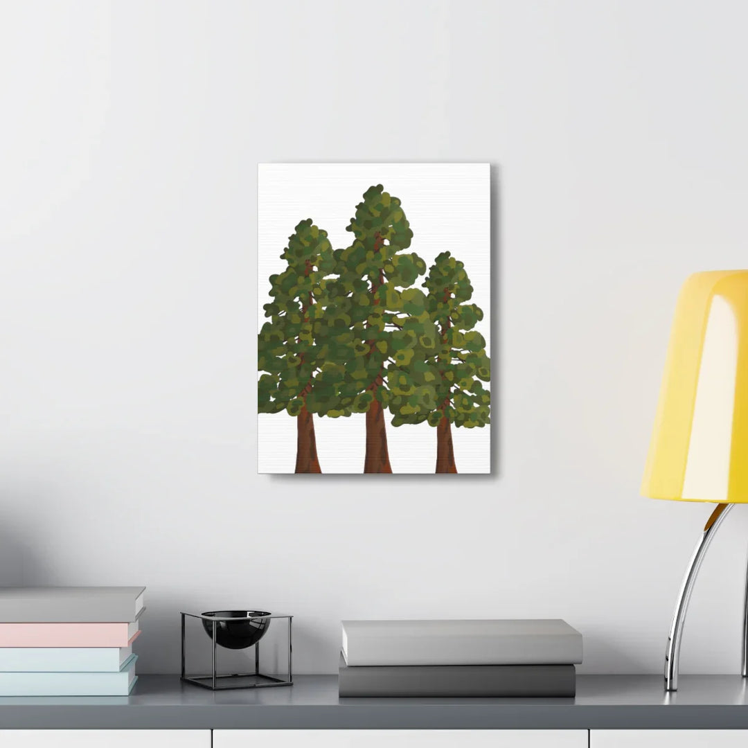 Coastal Redwoods Canvas - Stretched Cotton Canvas Art Print | Matte Finish Wall Hanging Artwork