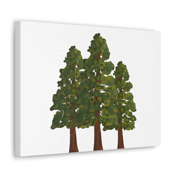 Coastal Redwoods Canvas - Stretched Cotton Canvas Art Print | Matte Finish Wall Hanging Artwork