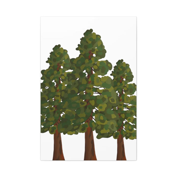 Coastal Redwoods Canvas - Stretched Cotton Canvas Art Print | Matte Finish Wall Hanging Artwork
