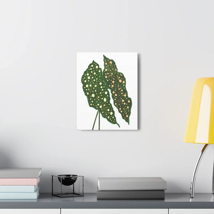 Begonia Maculata Canvas | Premium Canvas Art Print - Matte Finish, Durable Wall Decor - Laura Christine Photography & Design
