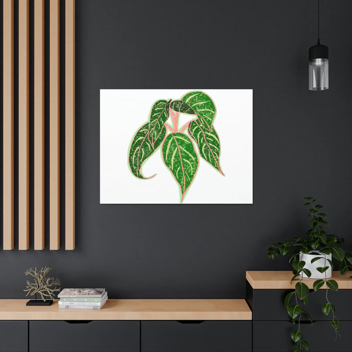 Aglaonema Plant Canvas | Sparkling Plant Artwork - Colorfast Canvas Art Print Decor