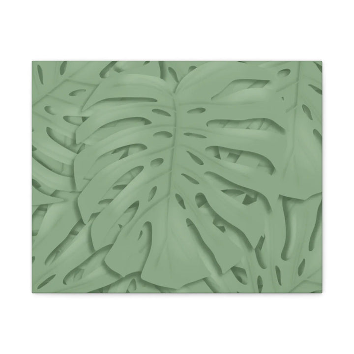 Monstera Canvas Art | Durable Matte Finish Canvas Art Print for Indoor Wall Decor