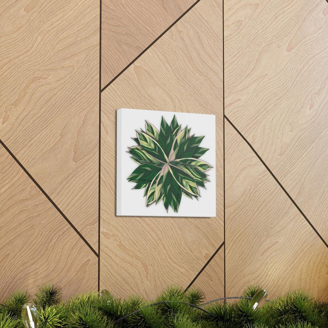 Stromanthe Triostar Canvas - Pastel Stripe Canvas Art Print With Vivid Color Artwork - Laura Christine Photography & Design