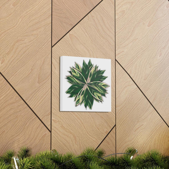 Stromanthe Triostar Canvas - Pastel Stripe Canvas Art Print With Vivid Color Artwork - Laura Christine Photography & Design