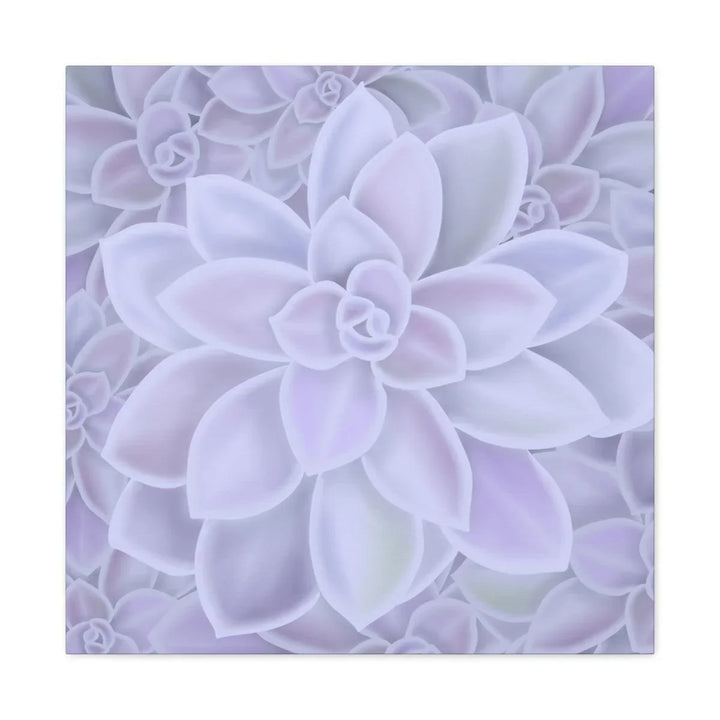 Graptopetalum 'Murasaki' Succulent Canvas, Canvas, Laura Christine Photography & Design, Art & Wall Decor, Canvas, Hanging Hardware, Home & Living, Indoor, Laura Christine Photography & Design, laurachristinedesign.com