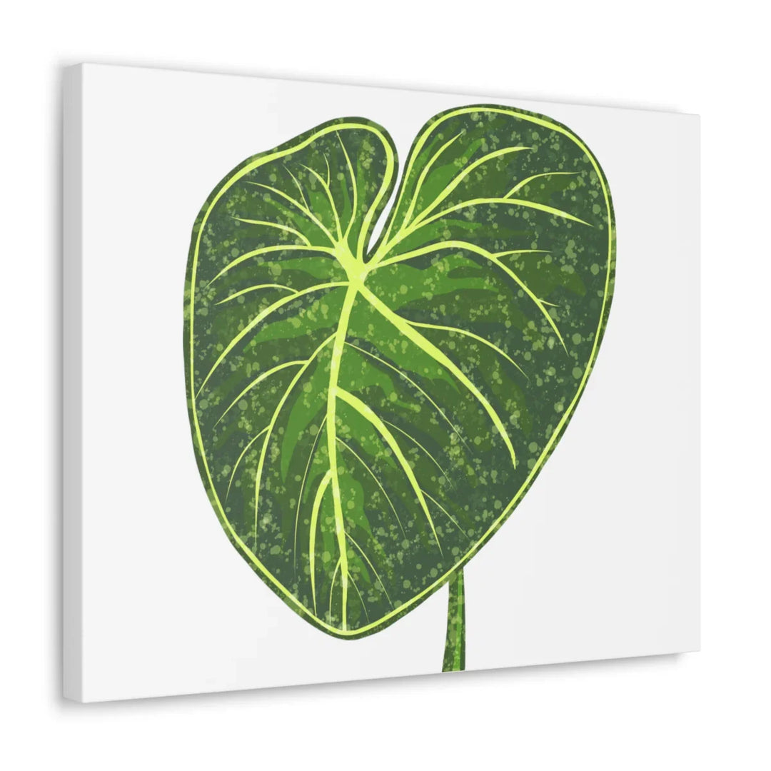 Philodendron Gloriosum Canvas - Stretched Canvas Art Print | Matte Indoor Wall Art - Laura Christine Photography & Design