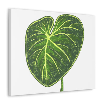 Philodendron Gloriosum Canvas