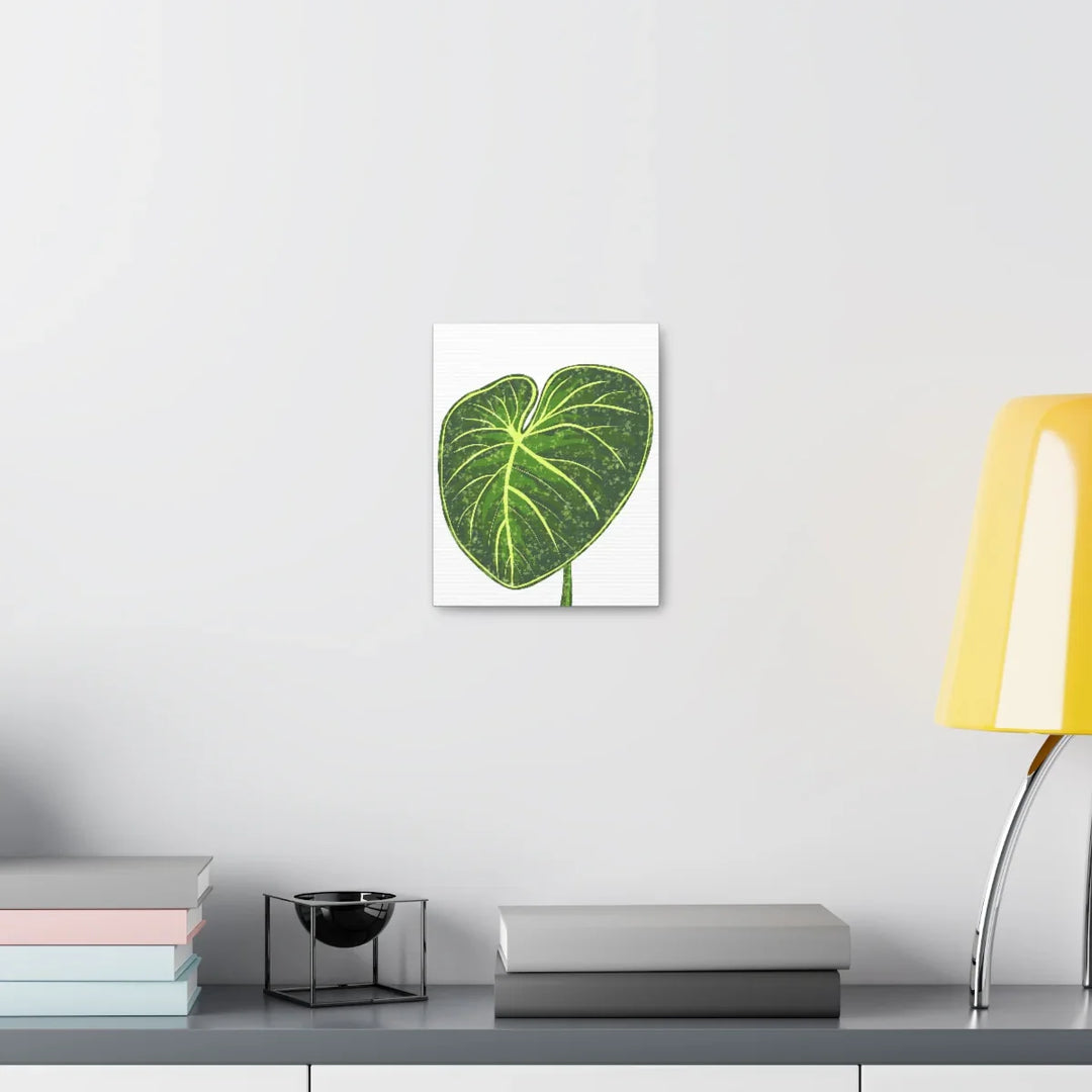 Philodendron Gloriosum Canvas - Stretched Canvas Art Print | Matte Indoor Wall Art - Laura Christine Photography & Design
