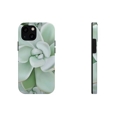 Pachyveria Haagei Succulent Phone Case, Phone Case, Printify, Accessories, Glossy, iPhone Cases, Matte, Phone accessory, Phone Cases, Samsung Cases, Laura Christine Photography & Design, laurachristinedesign.com