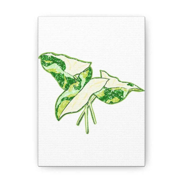 Marble Syngonium Canvas - Botanical Canvas Art Print | Durable Cotton Matte Finish