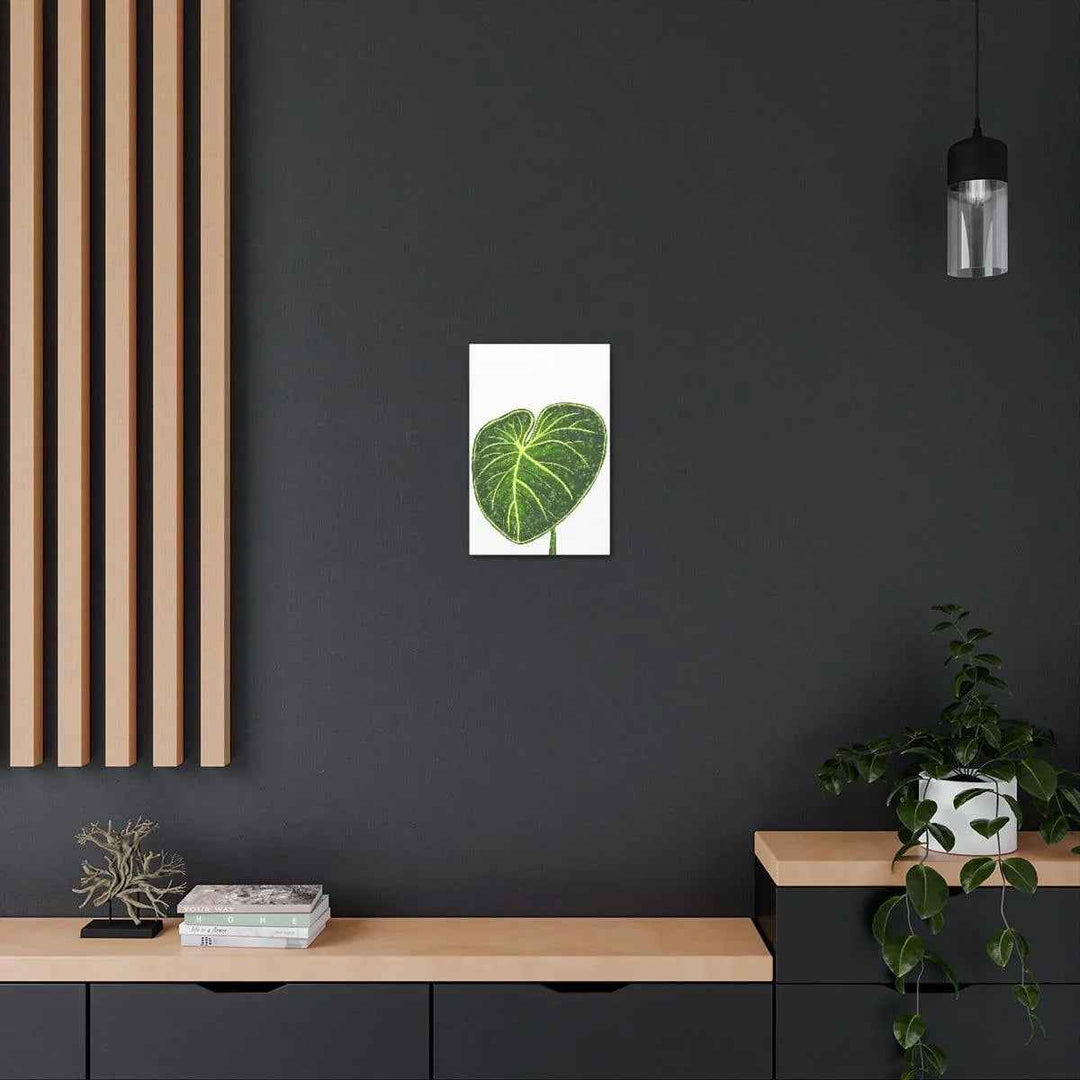 Philodendron Gloriosum Canvas - Stretched Canvas Art Print | Matte Indoor Wall Art