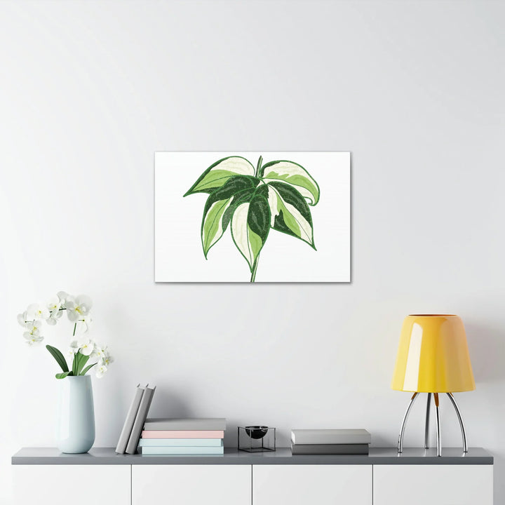 Philodendron Canvas Print - Cream Splash Variegated Plant Art on Matte Cotton Canvas