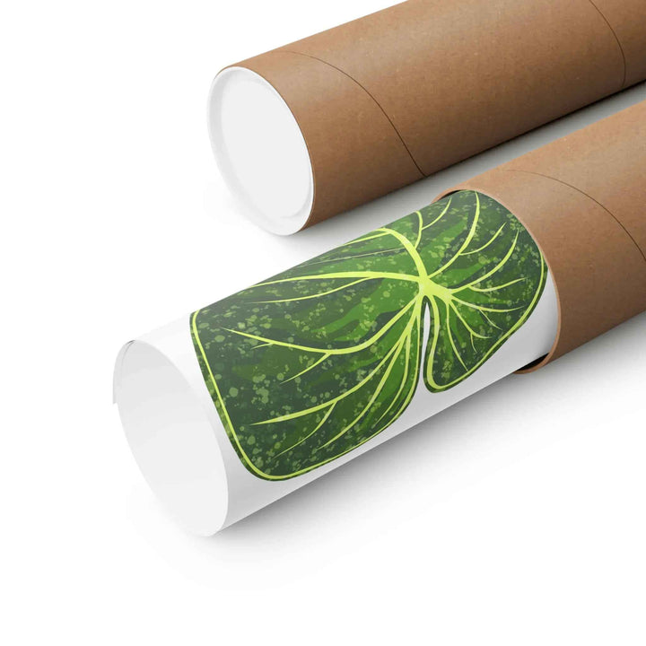 Philodendron Gloriosum Print Botanical Wall Art – Tropical Leaf Poster on Museum-Grade Paper Unframed