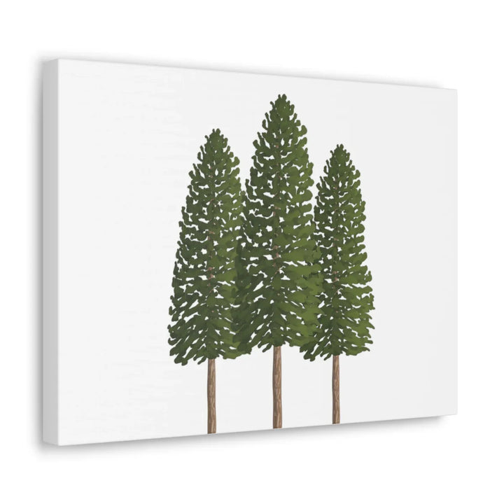 Ponderosa Pine Canvas - Large Stretched Cotton Canvas Art Print With Matte Finish
