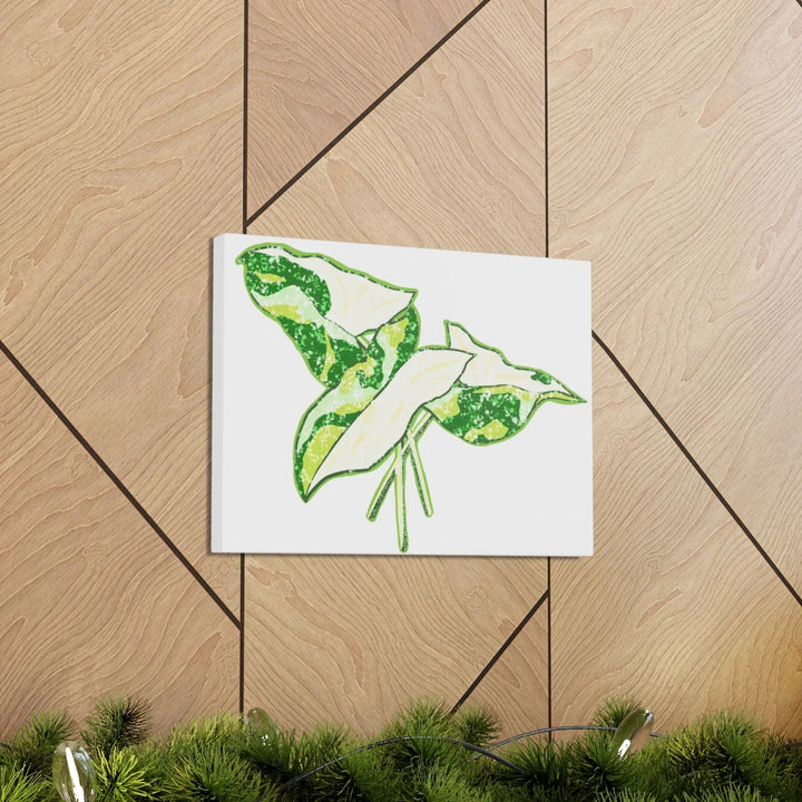Marble Syngonium Canvas - Botanical Canvas Art Print | Durable Cotton Matte Finish - Laura Christine Photography & Design