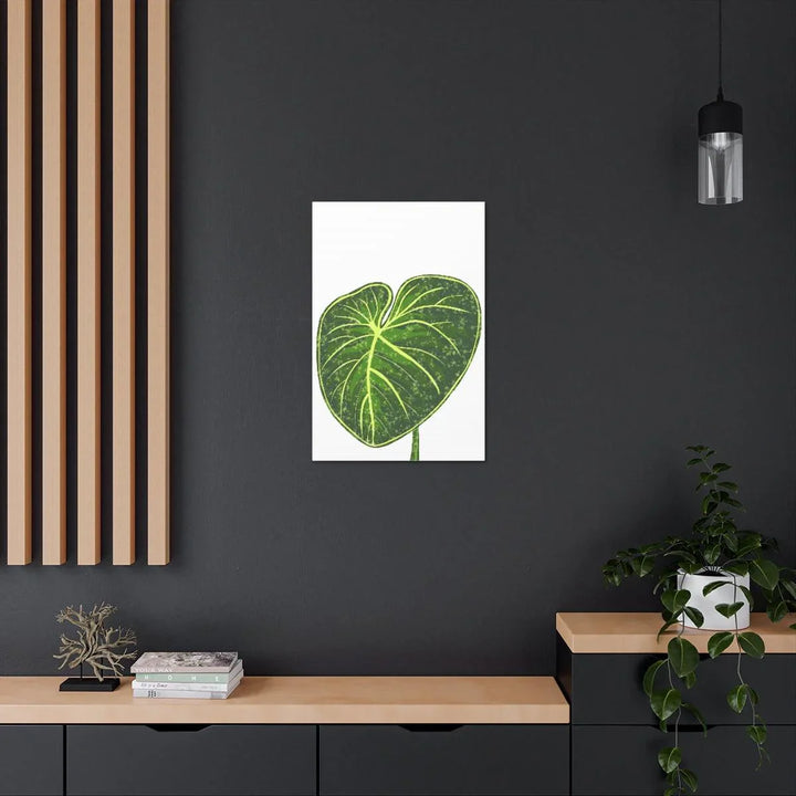 Philodendron Gloriosum Canvas - Stretched Canvas Art Print | Matte Indoor Wall Art - Laura Christine Photography & Design