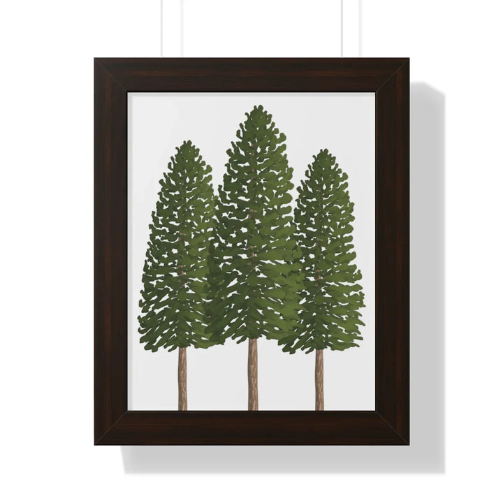 Ponderosa Pine Print - Framed Wall Art With Matte Finish & Acrylic Cover