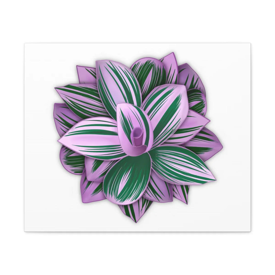 Tradescantia Nanouk Canvas – Botanical Canvas Art Print | Matte Finish Wall Decor - Laura Christine Photography & Design