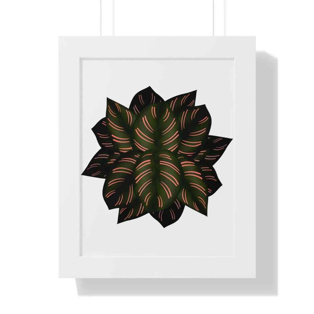 Calathea Pinstripe Print - Framed Botanical Art With Matte Finish & Acrylic Cover