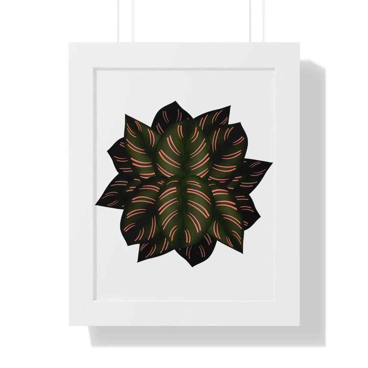 Calathea Pinstripe Print - Framed Botanical Art With Matte Finish & Acrylic Cover
