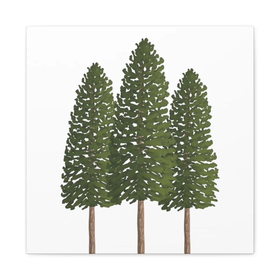 Ponderosa Pine Canvas - Large Stretched Cotton Canvas Art Print With Matte Finish