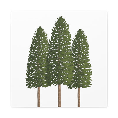 Ponderosa Pine Canvas