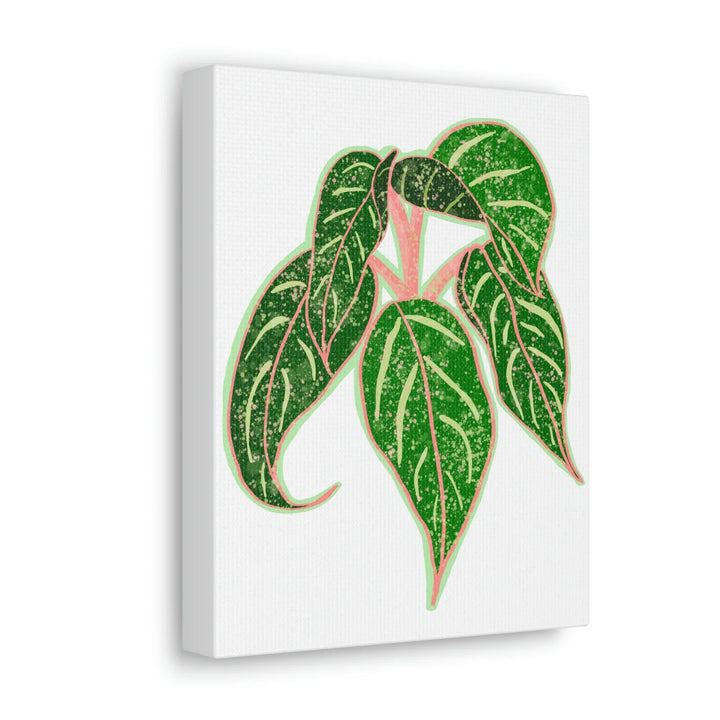 Aglaonema Plant Canvas | Sparkling Plant Artwork - Colorfast Canvas Art Print Decor