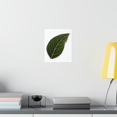 Aglaonema Rotundum Print