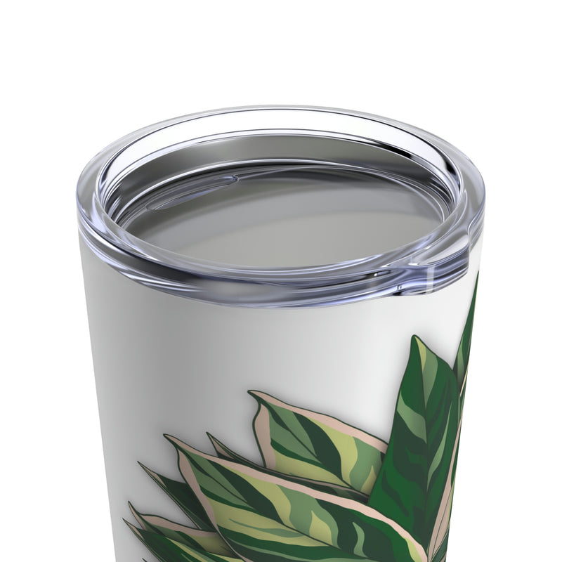 Stromanthe Triostar 玻璃杯