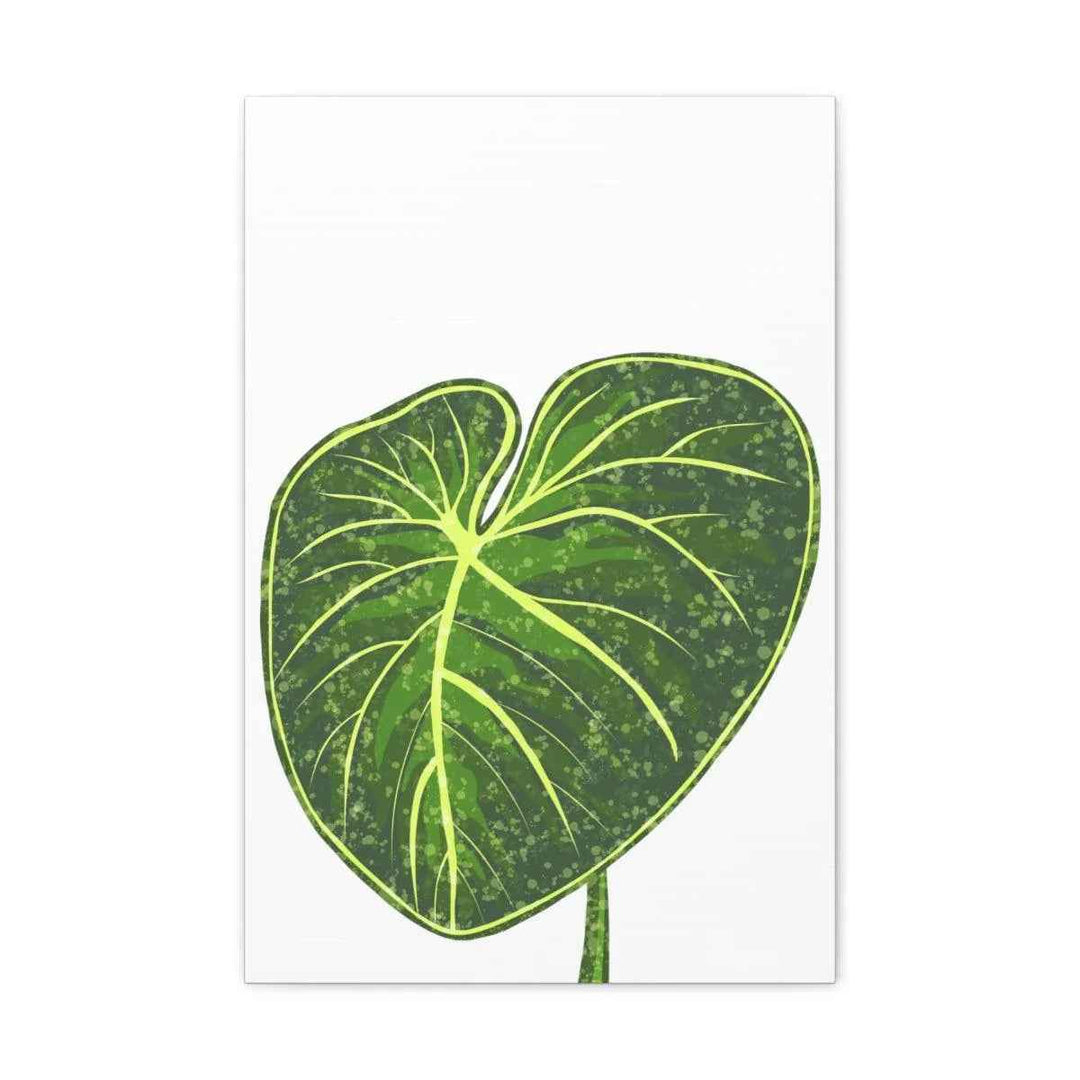 Philodendron Gloriosum Canvas - Stretched Canvas Art Print | Matte Indoor Wall Art